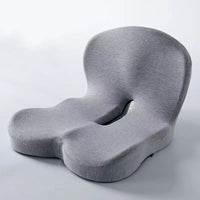 Premium Comfort Seat Cushion with Backrest
